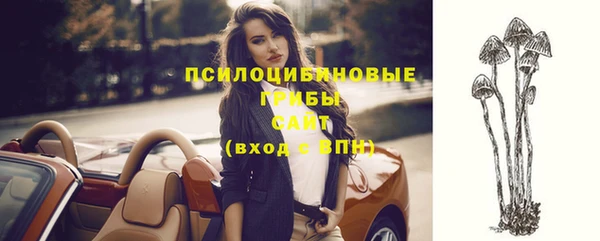 каннабис Новодвинск