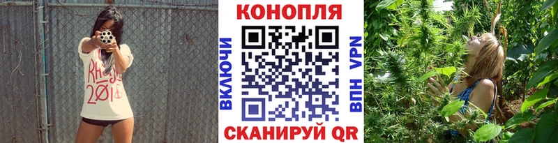 Шишки марихуана AK-47 Отрадное